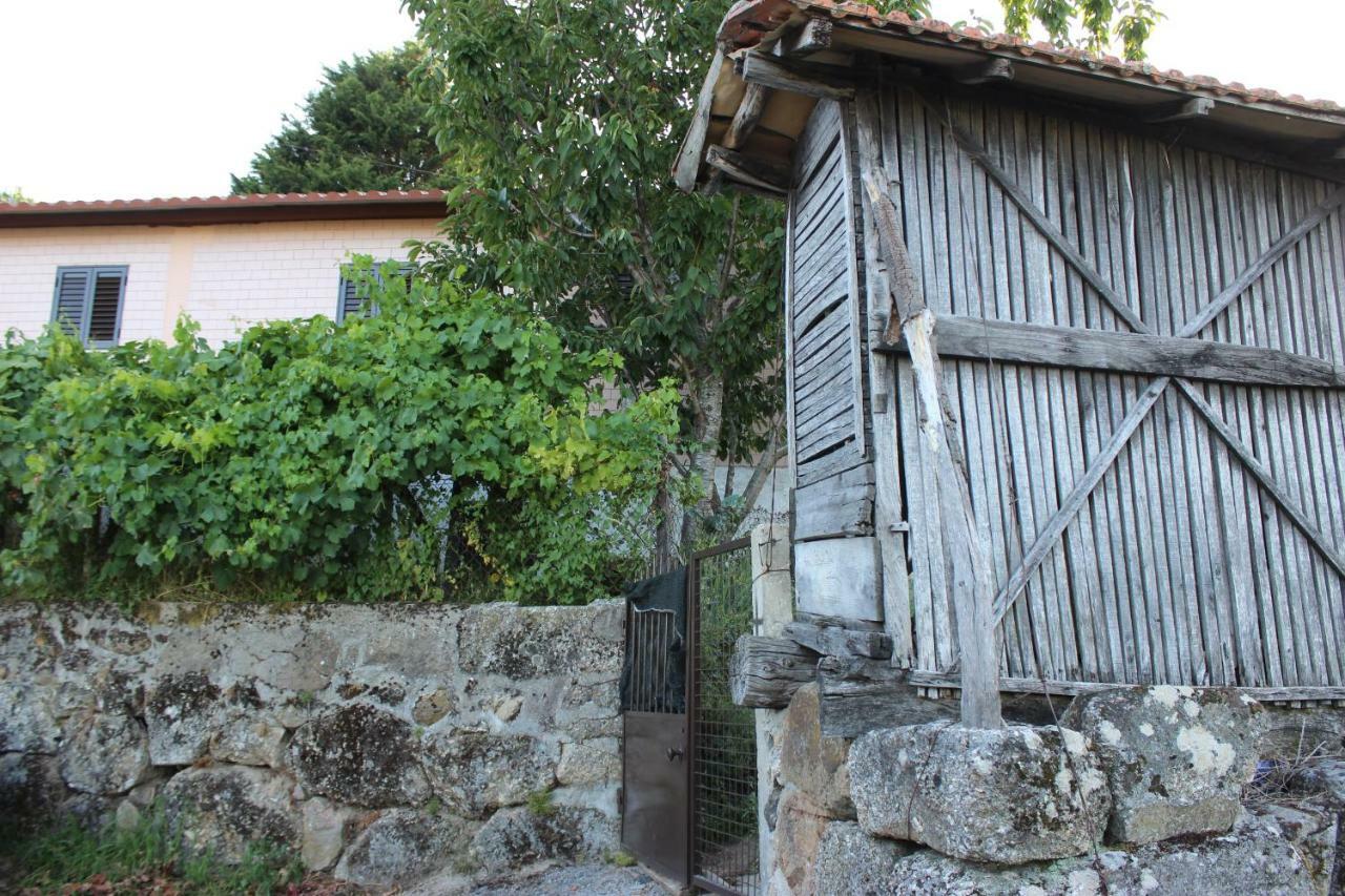 Alojamento Da Ribeirinha Carquere Экстерьер фото