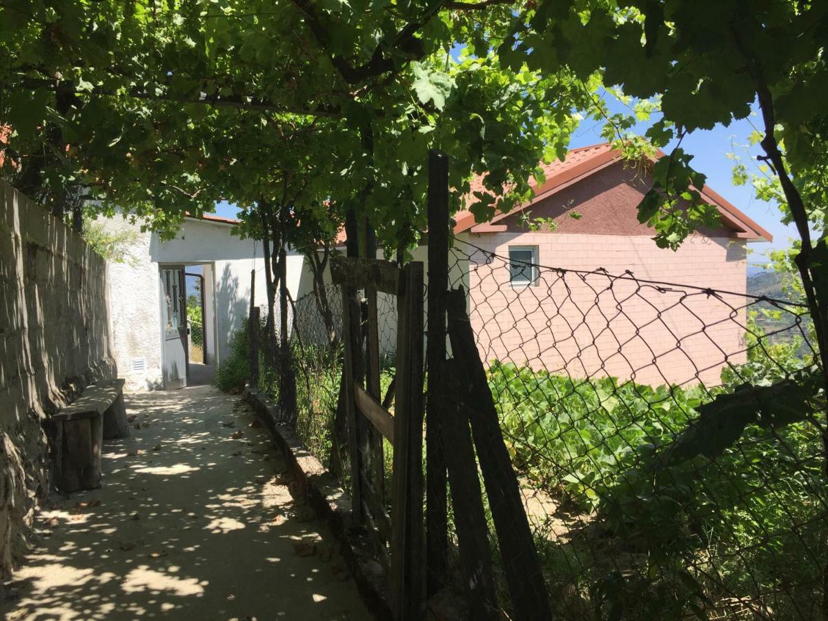 Alojamento Da Ribeirinha Carquere Экстерьер фото